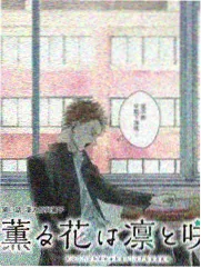 乘风2024